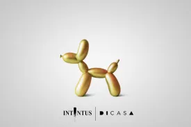 DICASA BY INTINTUS