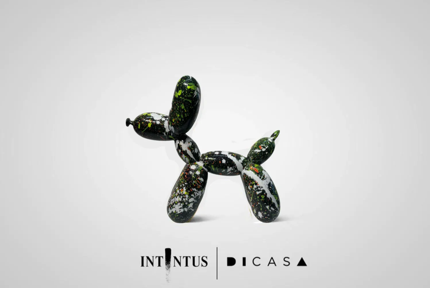 DICASA BY INTINTUS