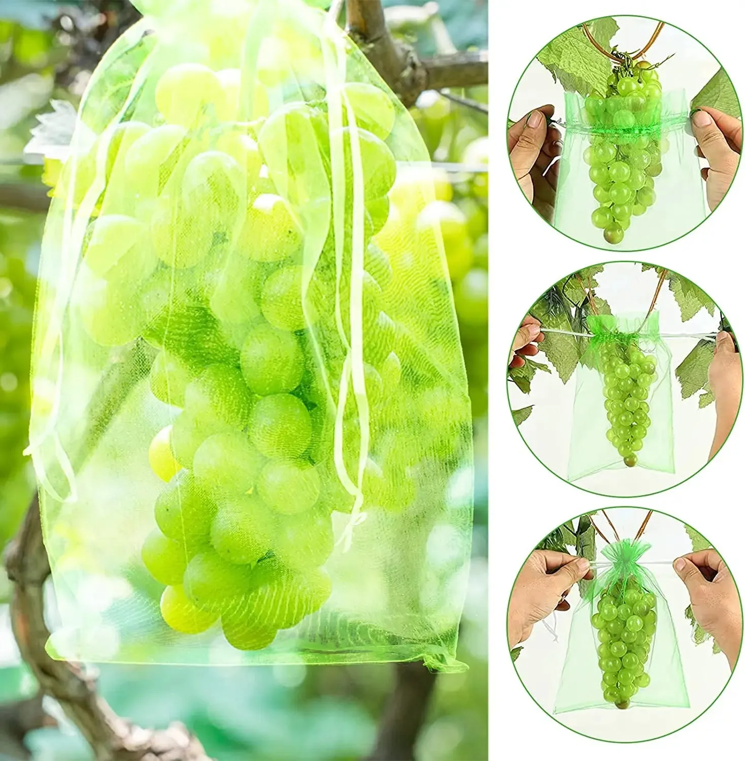 Fruit Protection Bags
