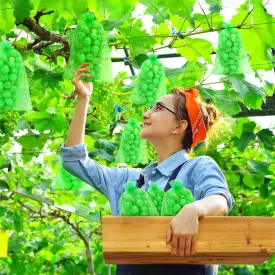 Fruit Protection Bags