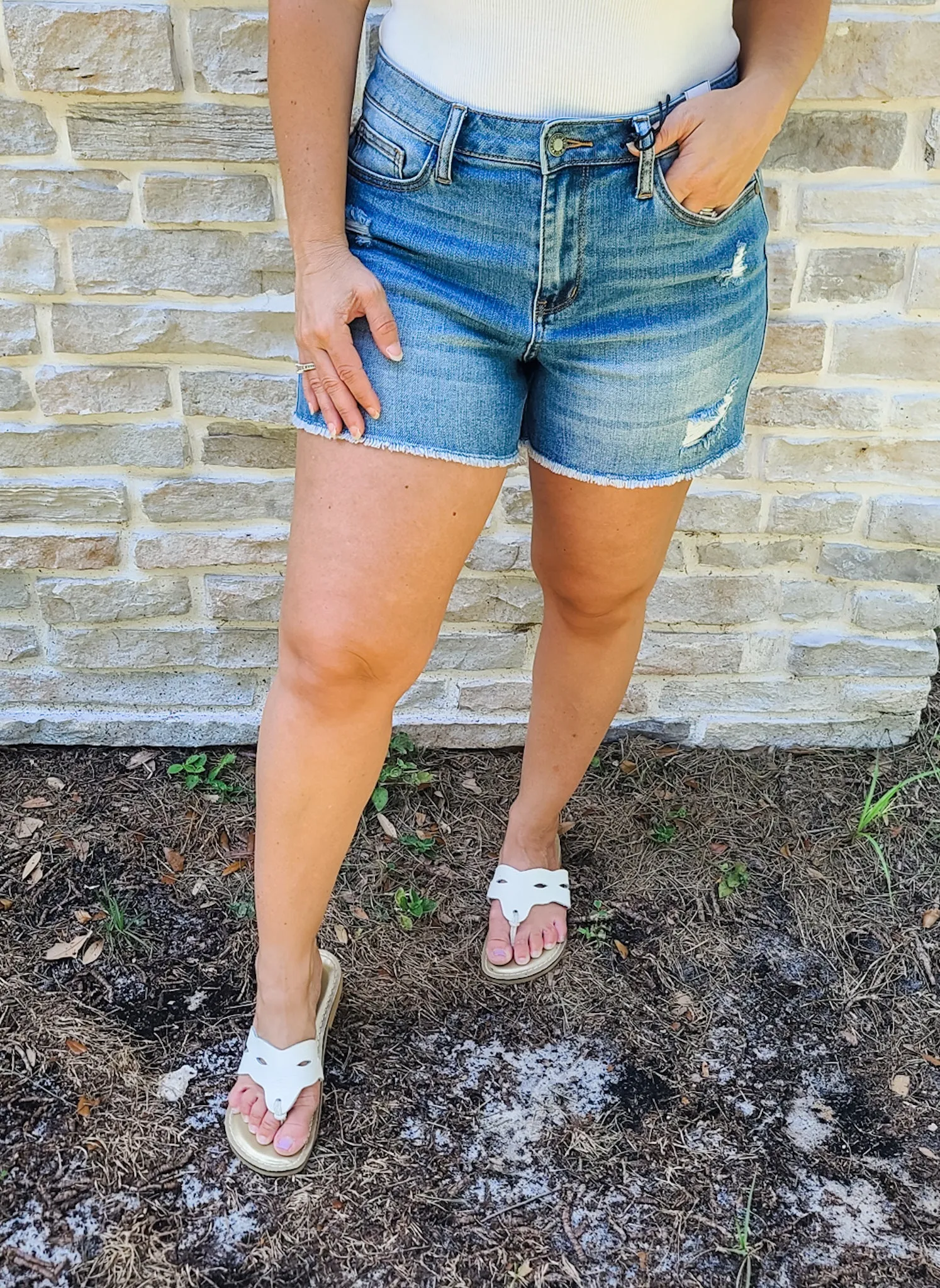 Judy Blue Gemma High Rise Shorts