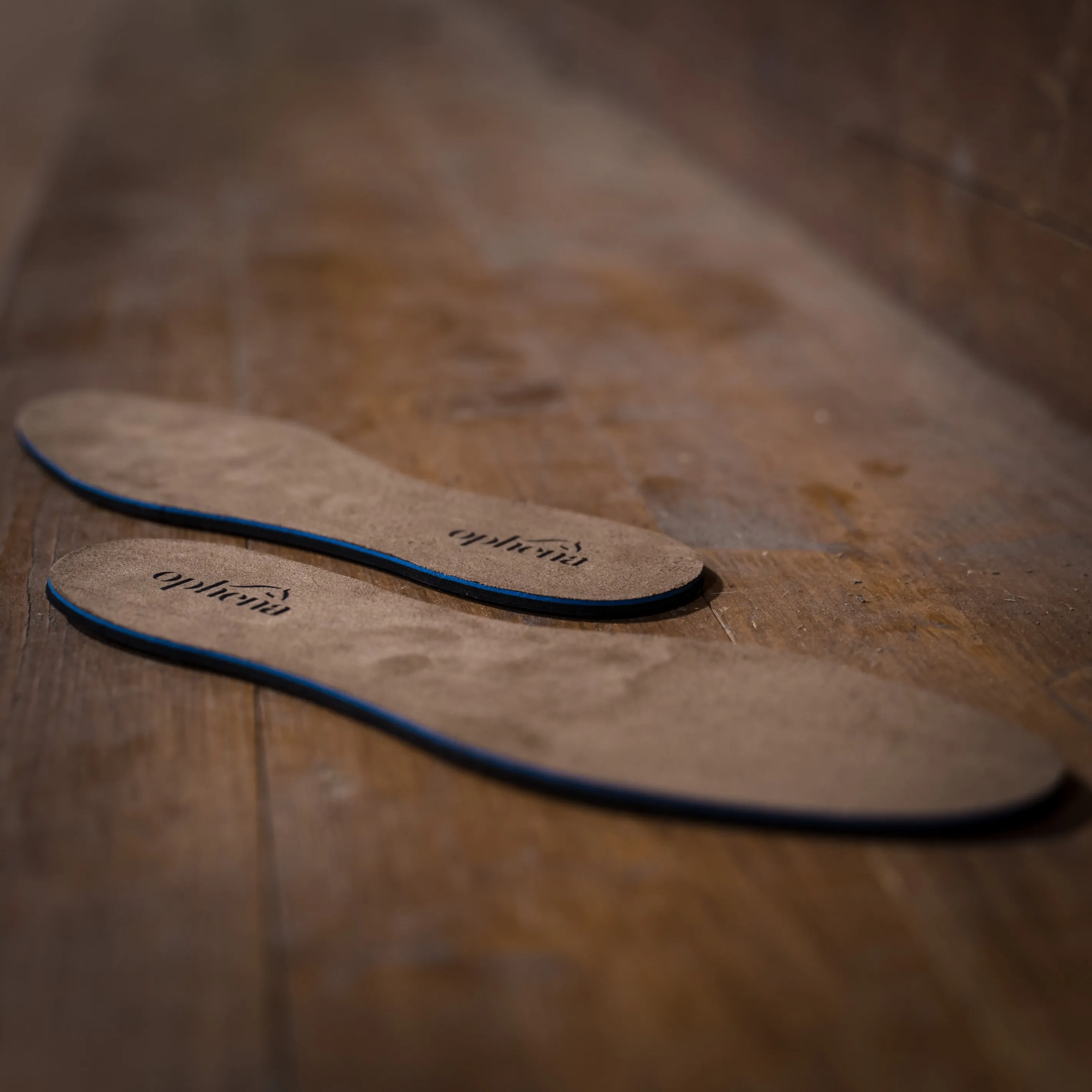 Magnetic Insoles