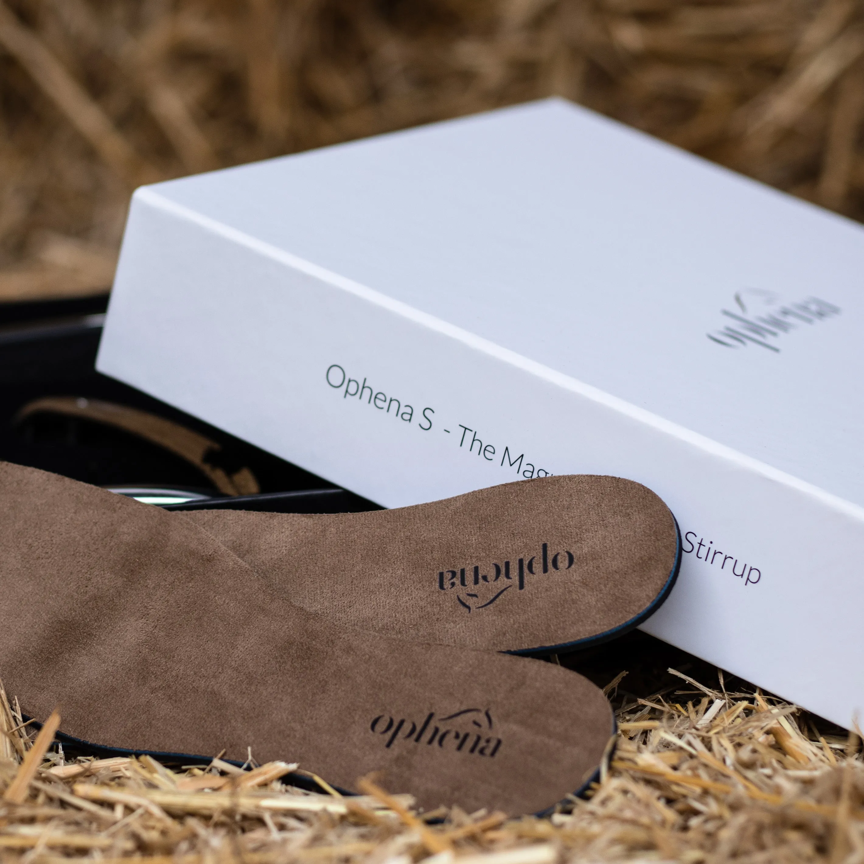 Magnetic Insoles