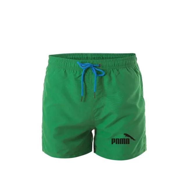 new Brand Men's Swim