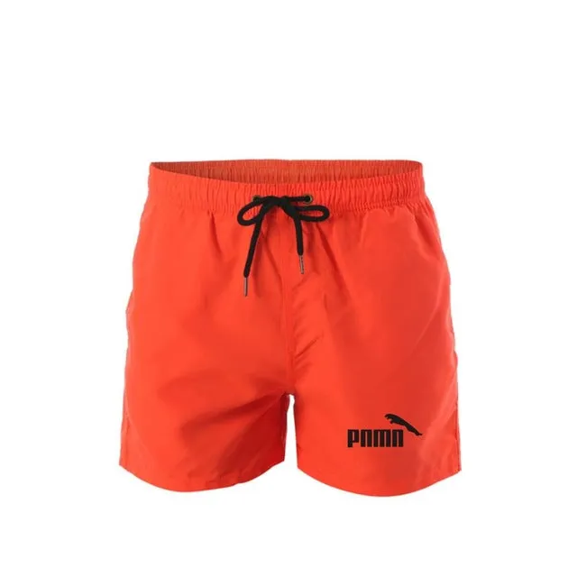 new Brand Men's Swim
