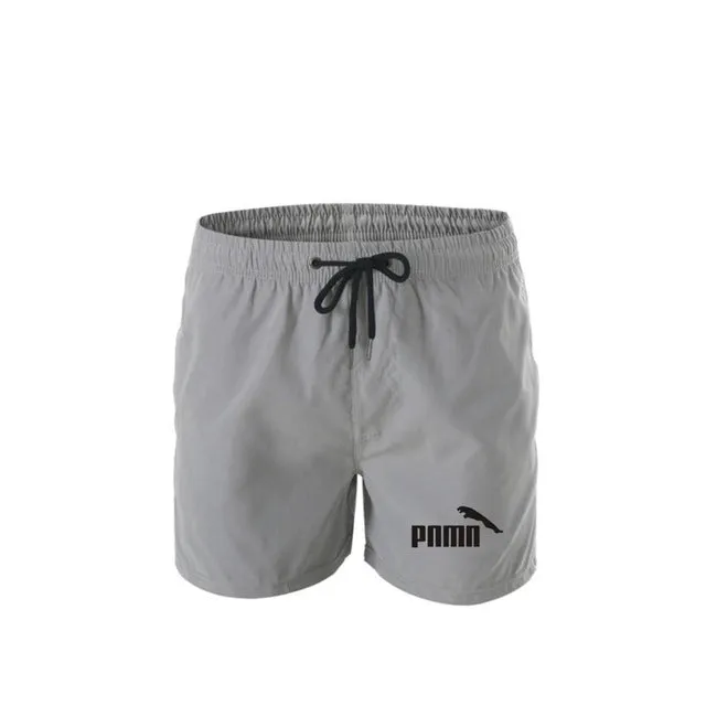 new Brand Men's Swim