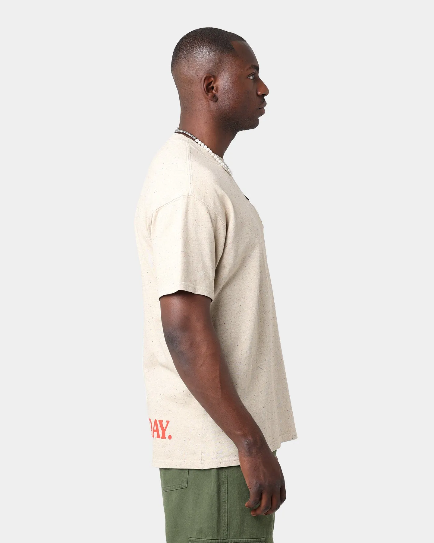 Nike Sportswear Max90 Nike Day T-Shirt Light Stone