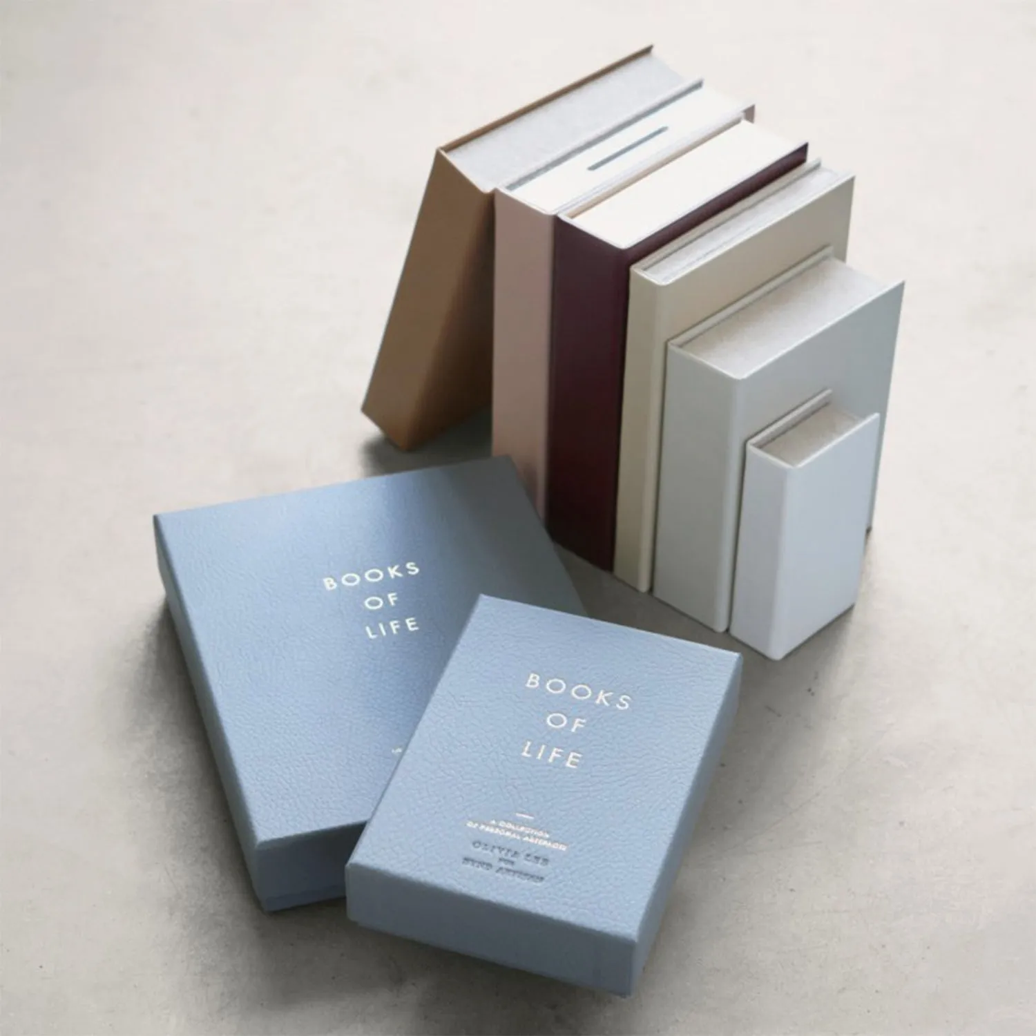 Olivia Lee for Bynd Artisan Book of Adventure (Clutch)